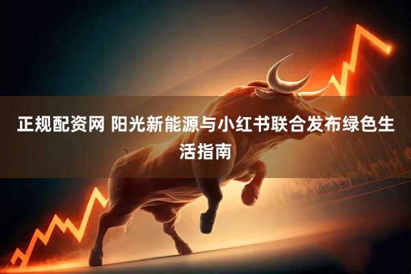 正规配资网 阳光新能源与小红书联合发布绿色生活指南